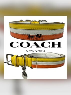 Coach Leather Y2K Striped Yellow White Orange Size Large 17-21” Dog Collar